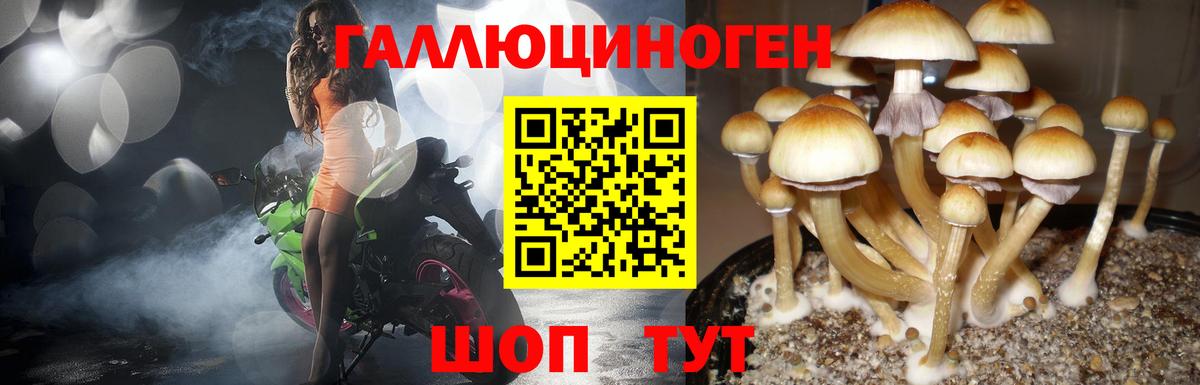 наркотики  Псилоцибиновые грибы прущие грибы  Вход с VPN  Белая Калитва 
